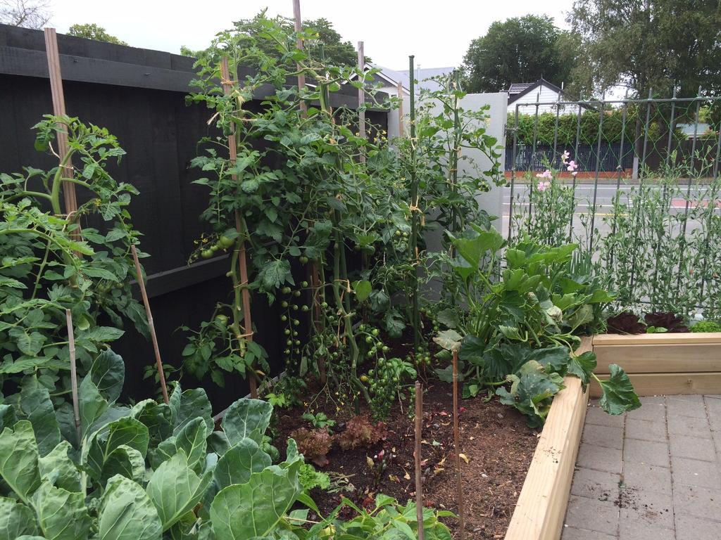 Garden Bed And Breakfast クライストチャーチ エクステリア 写真