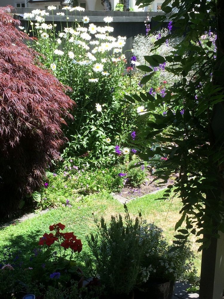 Garden Bed And Breakfast クライストチャーチ エクステリア 写真