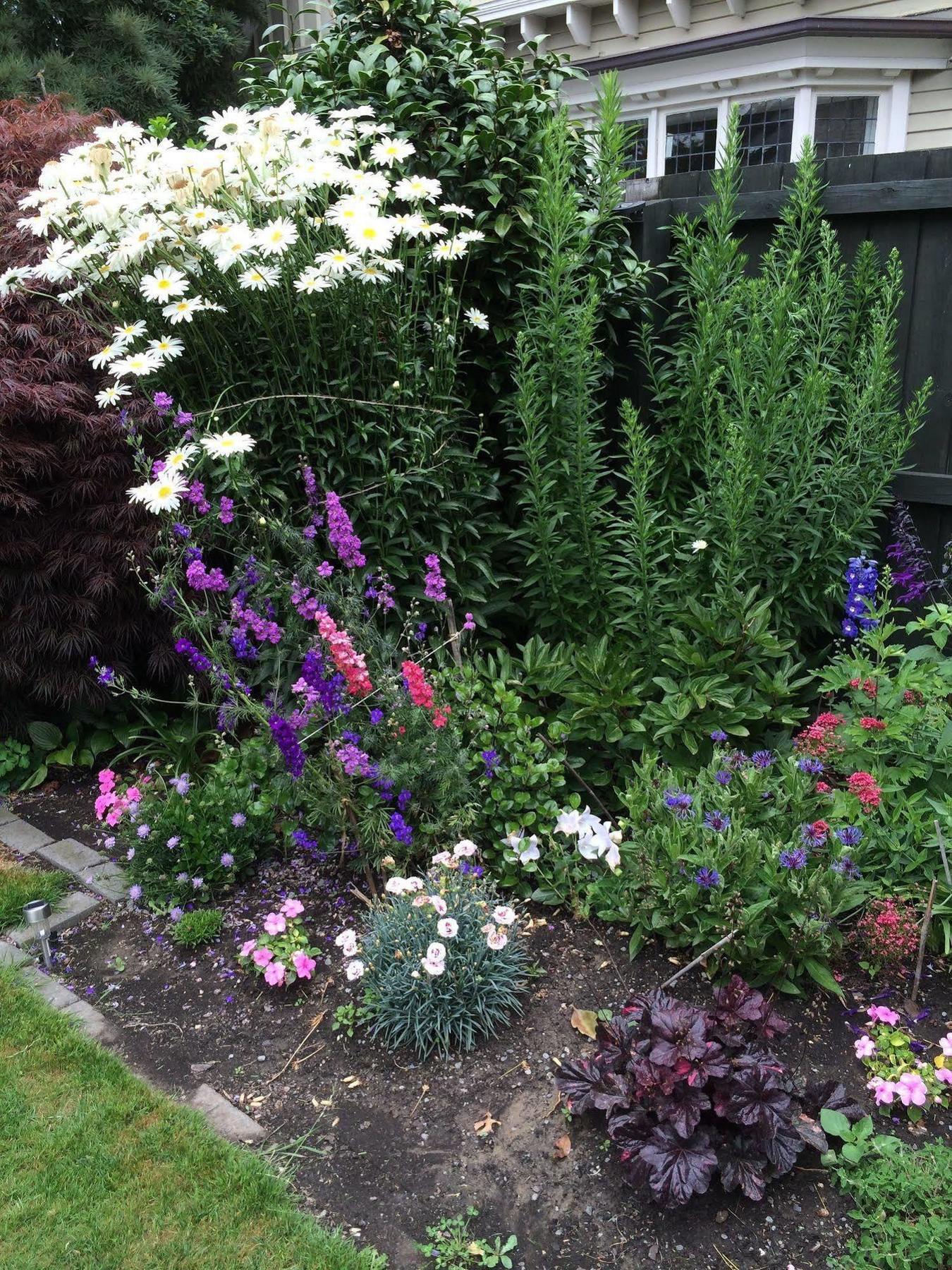 Garden Bed And Breakfast クライストチャーチ エクステリア 写真