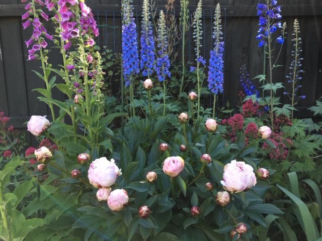 Garden Bed And Breakfast クライストチャーチ エクステリア 写真